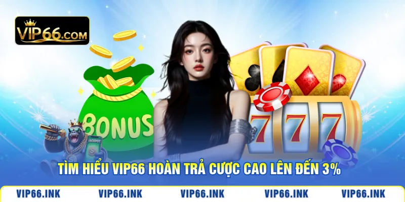 Tìm hiểu VIP66 Hoàn trả cược cao lên đến 3%